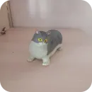 Стикер Игрушки