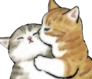 котики для котика