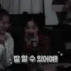 Стикер Red Velvet Irene Seulgi