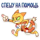 Стикер Котик Ирвин