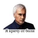 Меладзе 2