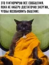 Стикер IT4