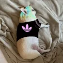 Джеки Чан
