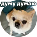 Стикер Джеки Чан