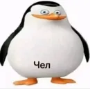 Стикер Чел ты