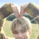 niki