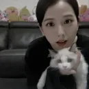 Стикер jisoo