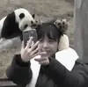 🐮; 𝘫𝘪𝘴𝘰𝘰 𝘧𝘳𝘮 𝘣𝘱.