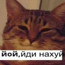 Стикер йой, най буде