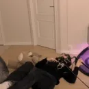 Стикер жожо