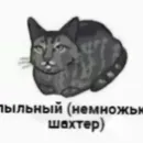 Стикер котики