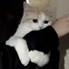 Стикер 💕💕💕