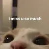 Стикер 💕💕💕