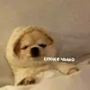 Стикер 💕💕💕