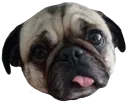 Стикер Dogs