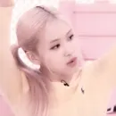 роза из блэк пинк