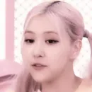 Стикер роза из блэк пинк