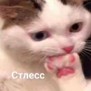 Стикер Кекольников