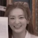 Стикер Seulgi