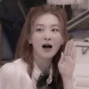 Стикер Seulgi