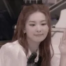 Стикер Seulgi