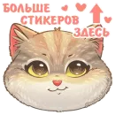 Стикер Бублик