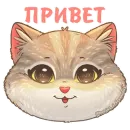 Стикер Бублик