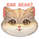 Стикер Бублик