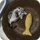 Стикер котики
