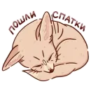 Стикер Абрикос