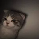 kitiki