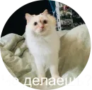 Стикер Кисюня