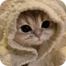 Стикер Котики