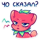 Стикер Кито