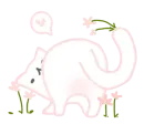 киця