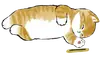 Стикер Kittens mofu_sand 2
