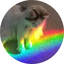 Стикер Kittens