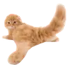Стикер cute kitty
