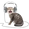 Стикер cute kitty
