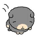 kkiwoong the puppy