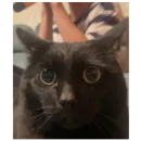 Стикер кофеин