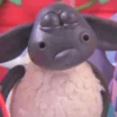 Timmy and Friends