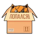 Стикер kot pivasik