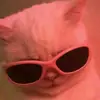 Стикер Котыки