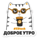Стикер Котик Айтишник