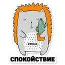 Стикер Котик Айтишник