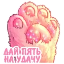 Котики и фразочки 2