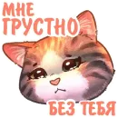 Стикер Котики и фразочки 2