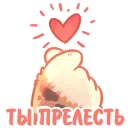 Стикер Котики и фразочки