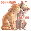 Стикер Котики и фразочки